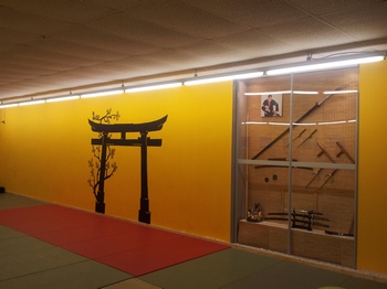dojo gi 02